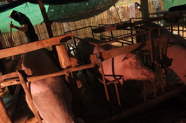 14825673_10154442715036140_2057815867_n