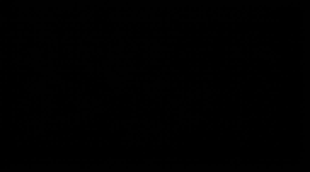 Bright meteor streaking across a dark night sky with a faint horizon line